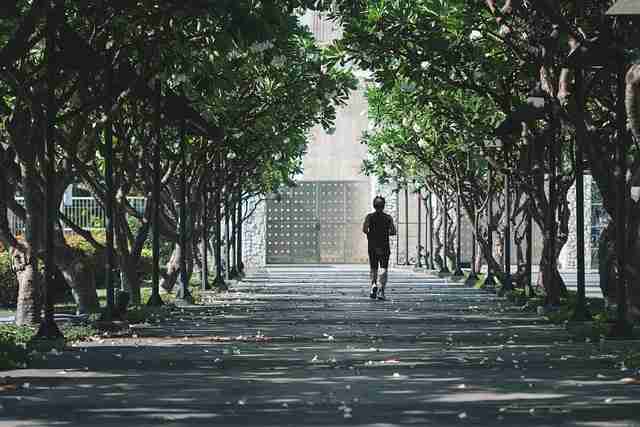 好色先生TV频道热搜合集|热门栏目使用指南内容点赞破万